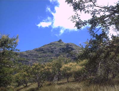 mauri052