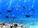 red_sea_19